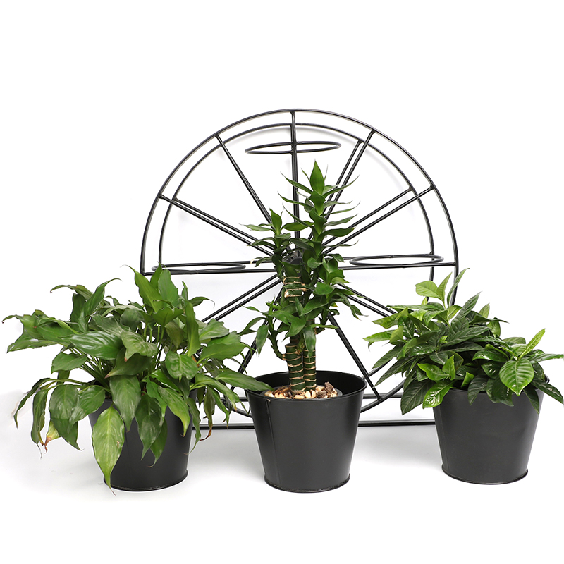 Good Wholesale Vendors Metal Plant Stand Outdoor - Ferris Wheel 3 Pots Metal Plant Stand Flower Pot Holder for Home Garden Patio and Balcony – DECOR